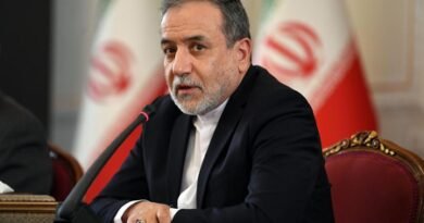 Iran vows self-defence ‘whatever it takes’