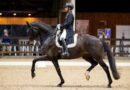 Anush Agarwalla makes impressive international debut at Belgium Dressage Events