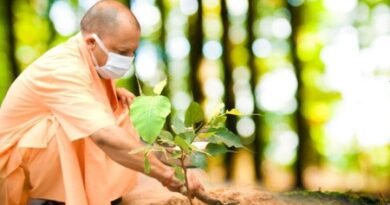 Making UP green state: Over 242 crore saplings planted in nine years
