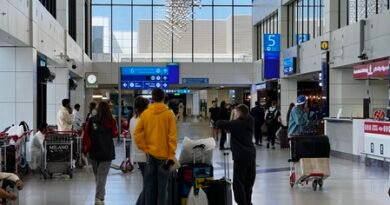 Domestic airlines to operate additional non-scheduled flights from Gulf region on Sunday