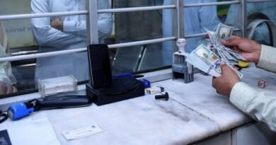 US bars foreign nationals from small business loan access