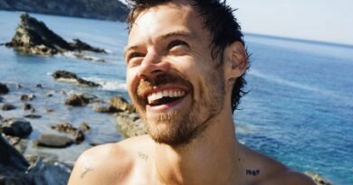 Harry Styles, Zoe Kravitz pack PDA during recent outing in New York City