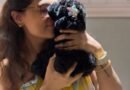 Ayushmann Khurrana, Tahira Kashyap’s newest family member is a toy poodle named Imli