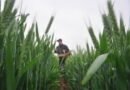 US-Venezuela move may ease fertilizer costs