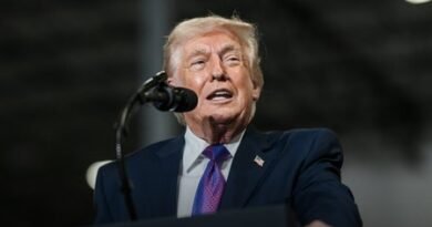 Trump threatens to deploy ICE agents for airport security over funding impasse