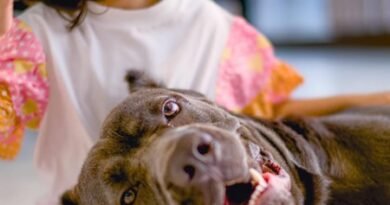 <div>Salman Khan’s sister Arpita Khan shares a heartwarming pic of her little ‘beauty’ Ayat with her ‘beast’</div>