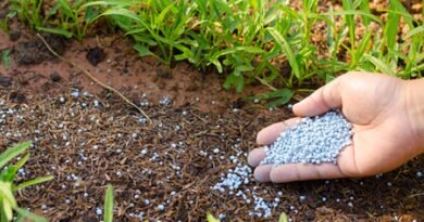 Fertiliser stocks adequate to meet needs of farmers: Govt