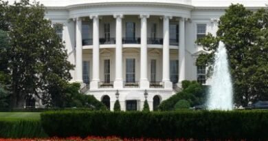 White House blames Democrats as airport chaos grows