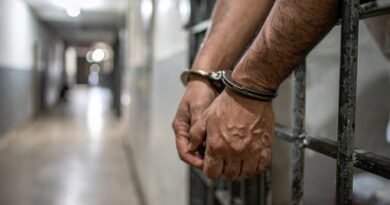 Chinese national jailed in US fraud case