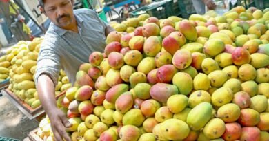 Tight vigil by Hyderabad Police to check sale of chemically ripened mangoes