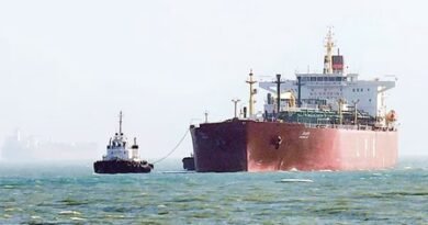 India-flagged LPG tanker Green Sanvi crosses Strait of Hormuz, two more in line (Lead)