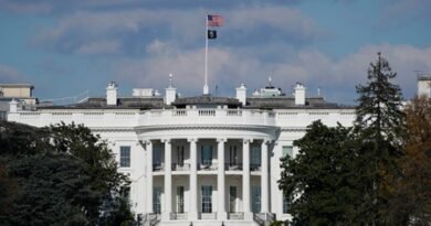 Stablecoin yield ban may not boost lending: White House