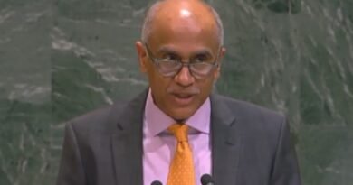 India voices concern over Hormuz shipping attacks, takes neutral stance on UNSC resolution veto