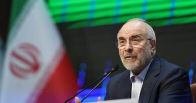 <div>Iran says ‘progress’ in US talks, but ‘far from final discussion’</div>