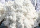 Centre exempts all customs duties on cotton import from June 1 till Oct 30