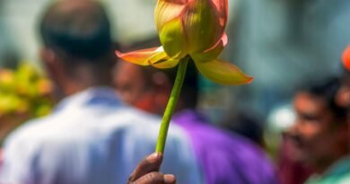 <div>The Pasmanda Awakening: How Bengal’s verdict is rewriting Indian Muslim politics</div>