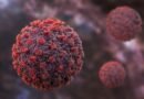 Hantavirus unlikely to reach pandemic scale, no cases in India so far: Report