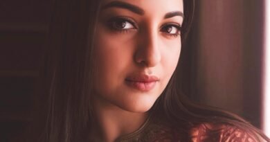 Sonakshi Sinha on cinema’s sole purpose being medium of change: This is not our job as creative people