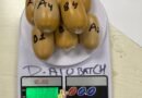 DRI busts gold smuggling syndicate at Mumbai airport, seizes gold worth Rs 4.8 crore