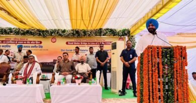 Punjab Governor lays stone of road under bridge