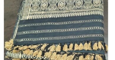 <div>PM Modi gifts ‘Muga,’ ‘Shirui Lily’ silk stoles to Giorgia Meloni, highlights India’s rich textile traditions</div>