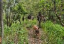 Manipur: Kuki body extends shutdown over detention of villagers