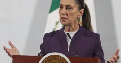 Mexico to analyse impact on remittances of US restrictions on undocumented migrants: President Sheinbaum