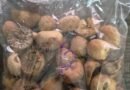 DRI seizes 60,000 kg smuggled foreign origin areca nuts in NE region, 5 held