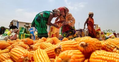 Govt bears burden of elevated global fertiliser prices to safeguard farmers: Goyal