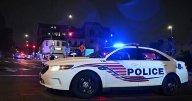 White House North Lawn cleared after sound of gunshots