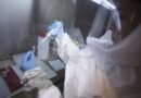<div>TN steps up Ebola surveillance at airports, hospitals following Centre’s advisory</div>