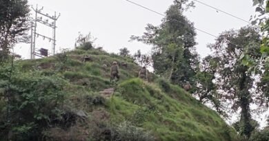 <div>Anti-terrorist operation enters second day in J&K’s Rajouri</div>