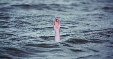 <div>Two of four friends go missing in river in MP’s Dhar; rescue operation on</div>