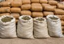 Bihar Police seize over 455 kg ganja in Supaul and Madhubani raids