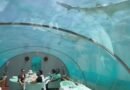 <div>Soha Ali Khan enjoys thrilling underwater lunch with Kunal Kemmu & little Inaaya</div>