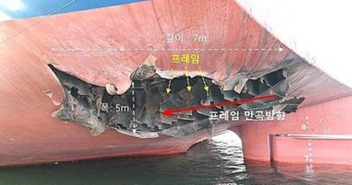 Seoul to disclose probe results on attack against South Korean vessel in Hormuz