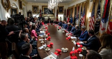 <div>‘Or we’ll have to blow them up’: Trump warns Oman not to interfere amid fragile US-Iran talks</div>