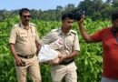 <div>After nightlong counting, Rs 2.24 crore recovered from bags buried in Trinamool leader’s farmland</div>