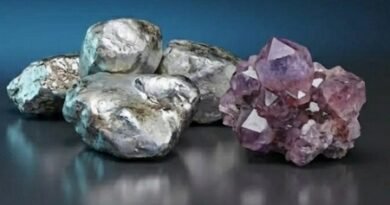 Chinese firms control nearly 90 pc of Zimbabwe’s lithium reserves: Report