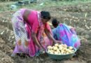 Gujarat farmers told to complete PM-KISAN e-KYC by June 30​