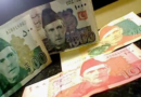 <div>‘Pakistan struggling amid worsening foreign exchange crisis’</div>