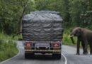 Kerala mulls insurance cover for forest area residents