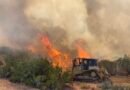 US forest chief warns of severe fire season