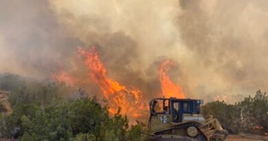 US forest chief warns of severe fire season