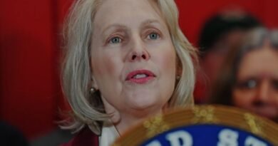 Visa delays threaten US doctor shortage, senator warns