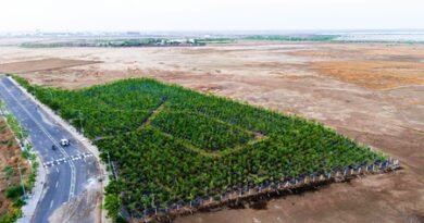 <div>Gujarat: ‘Drum Plantation’ technique turns Dholera’s saline land green in pilot success</div>