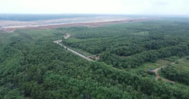 <div>Adani Group transforms Chhattisgarh’s Surguja mine into green landscape with 1.6 million trees</div>