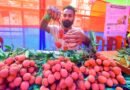 Assam litchi reaches Dubai market, opening new export avenues for farmers