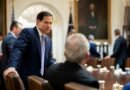 Rubio, UFC forge sports diplomacy pact