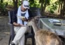 MP: Satpura Tiger Reserve officer suspended for feeding, petting Sambar deer